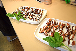 KNOLL CATWALK FASHION SHOW